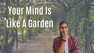 Understanding The Mind Using A Simple Metaphor