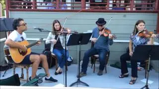Fret and Fiddle Clips