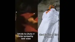 meme 4