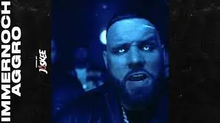 Fler x Farid Bang Type Beat 'Immernoch Aggro' Free Trap Beats 2022 - Rap Instrumental (prod. Joskee)