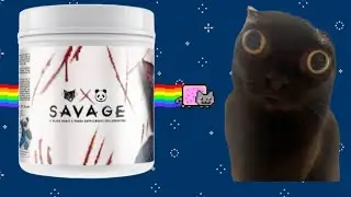 Panda supplements savage pre-workout review. The nyan cat pre-workouts.