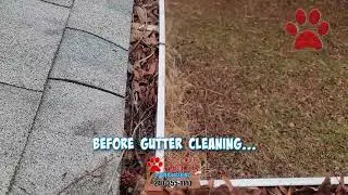 Gutter Cleaning Near Me