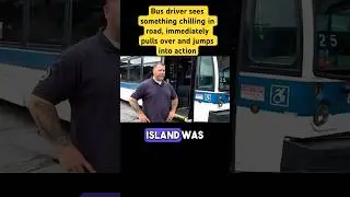 Bus driver sees something chilling in road, immediately pulls over and jumps into action
