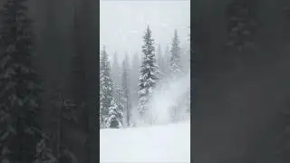 Arctic Storm: Entering the #naturesounds snow #naturesounds