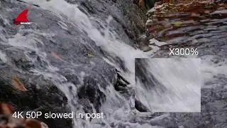 Canon C200 test shots