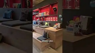 CEO-Life: What should awesome offices look like? Let me show you around one of our clients who creat