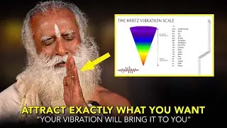 Your Frequency Creates Reality - 
