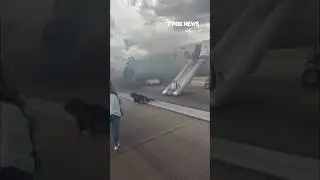 WATCH: Flight erupts in flames during takeoff #shorts #airplane #flight #foxnews #news #us #fox