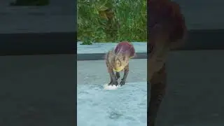 Compy vs Dolores - Jurassic World Evolution 2.