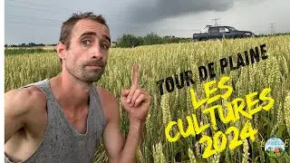 Tour des plaines &agrave; l&rsquo;approche des moissons d&rsquo;&eacute;t&eacute; 🌾🌦️ #328