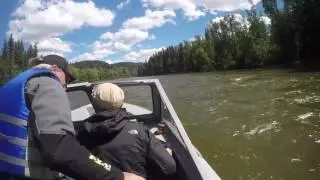 Boat trip