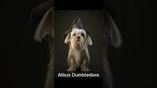Harry Potter characters as a dog from AI #AI #harrypotter