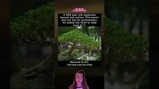 The Bonsai Treated Like a Child