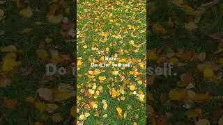 You are your biggest project#nature #vienna #fall #october #shorts #selfloveandhealing #consistency