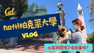 小笨狗歐拉UC Berkeley美國加州柏克萊大學一日遊發生了什麼慘事?｜全美第一公立大學｜小笨狗歐拉居然在我的母校...?!｜學生才知道的私密景點