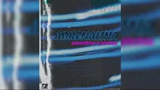 seventhree x piechus - Adrenalina