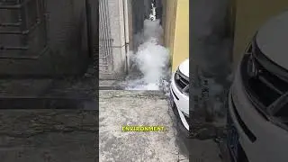 Раскрыты эффективные методы борьбы с вредителями.