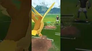 Pidgeot, Shadow swampert and stunfisk in the Sunshine cup #shorts