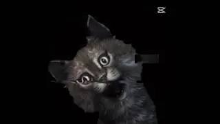 Gaffur abi edit @gaffur.huhuuu