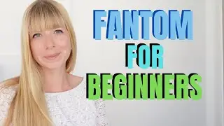How To Get Started With Fantom DeFi | Fantom Beginner Tutorial | Wealth in Progress