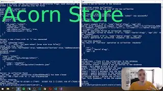 Making a database system in golang, 2 weeks in