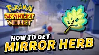 Pokemon Scarlet & Violet How to get MIRROR HERB (Egg Move Trasfer Item)