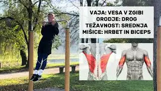 Vesa v zgibi