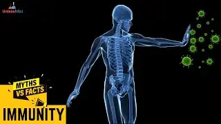 Myths about Immunity | Myth vs Fact | Science | Biology