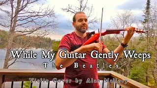 WHILE MY GUITAR GENTLY WEEPS - The Beatles - Electric Violin Cover by Alan Mallory