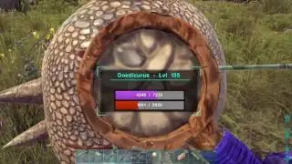 REDWOOD FOREST ADVENTURE!!! Ark: Survival Evolved Center Map [S1E7]