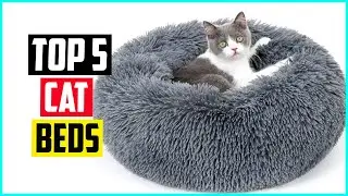 The 5 Best Cat Beds of 2022