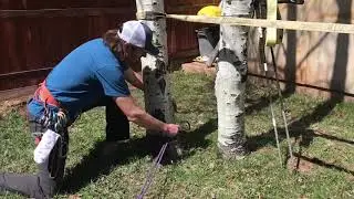 Using an Equivocation Hitch Around a Tree For Rappel
