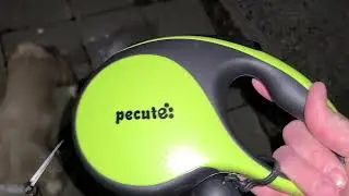 Pecute Retractable Dog Leash Review