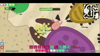 Florr.io - Probably my best DPS build