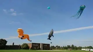 World in My Eyes: Unforgettable Day of Kite Flying Fun in Guelph (October 11, 2021)