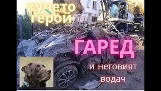 Кучето герой Гаред. Какво точно се случи? Трудна ли е работата на кучето в пожарната? Част втора.