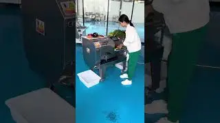 MNS-140 Red Pepper Cutting Slicer Machine