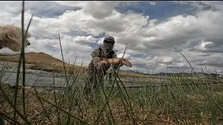 Monster Dream Stream Cut-Bow. Euronymphing Colorado.
