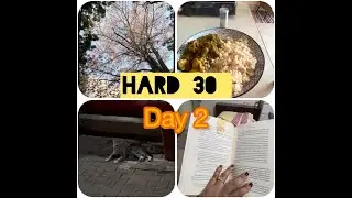 My Daily Reset Routine  Food, Fitness and Feeling Good  Day 2