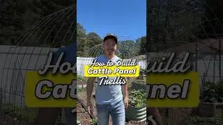 How to Build a Cattle Panel Trellis