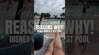 Experience Disney's BEST Pool! Yacht Club Resort Pool | Stormalong Bay #DisneyPool #YachtClubPool
