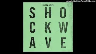 Liam Gallagher - Shockwave (DIY Acapella)