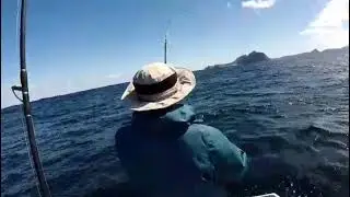 Major Craft Bomber Spin