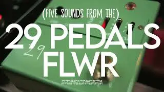 5 Sounds From The 29 Pedals: FLWR Drive/Fuzz