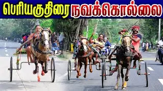 நவக்கொல்லை பெரியகுதிரை (01.02.2026) பந்தயம் #perai_raj_digital #reklarace2026