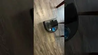 Neato Botvac D Series Robot Vacuum Demo