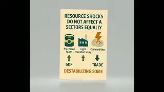 Exchange Rate Volatility Tariffs Disparity and Resources shocks