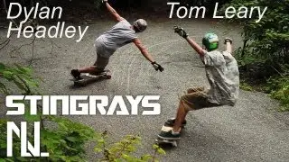 StingRays - Tandem Freeride w/ Dylan Headley and Tom Leary of Nelson Longboards