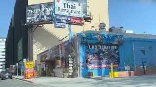 Visiting LA&rsquo;s Biggest Tropical Fish Store LAX AQUARIUM