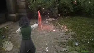 How to Play with Cats in Hogwarts !!!! 😺